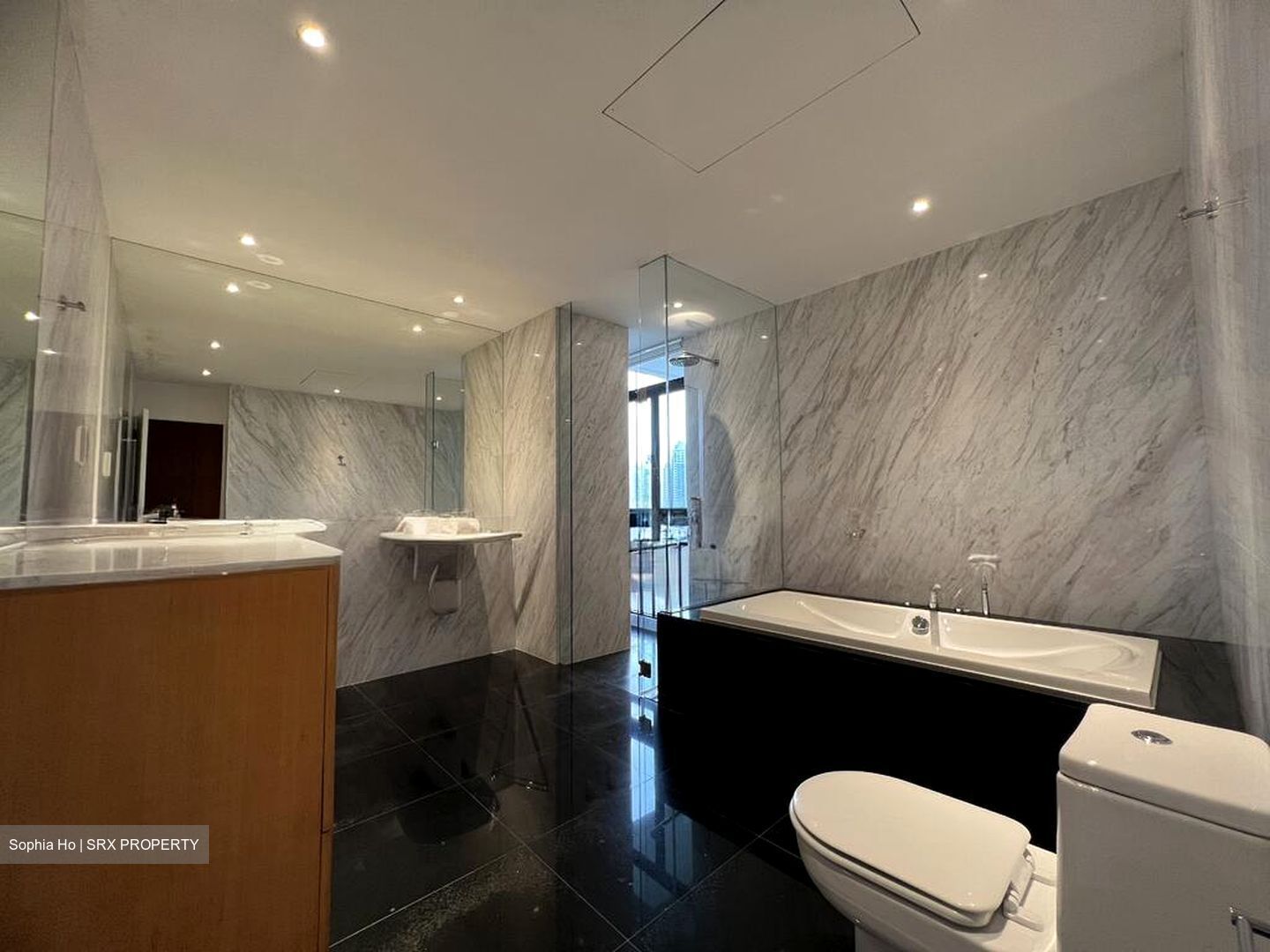 The Colonnade (D10), Condominium #509215721